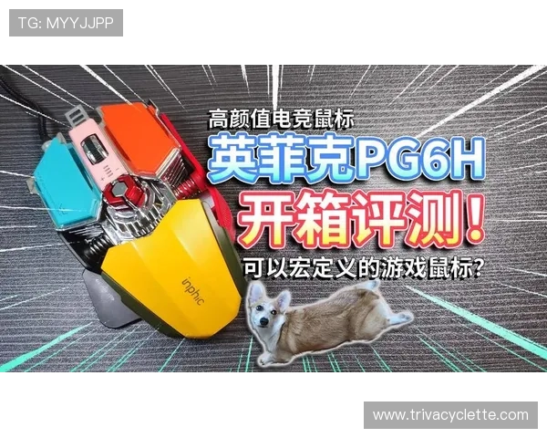 PG游戏城新手指南帮助新玩家快速上手畅享精彩游戏内容